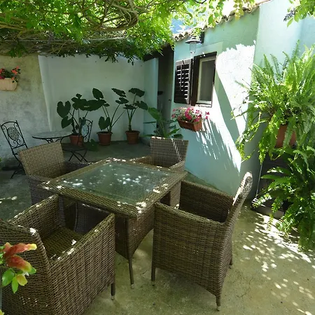 Renata * וולי לוסיניי