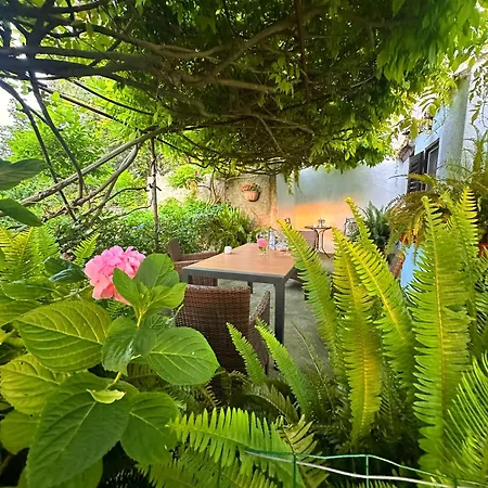 Renata 公寓 Veli Lošinj