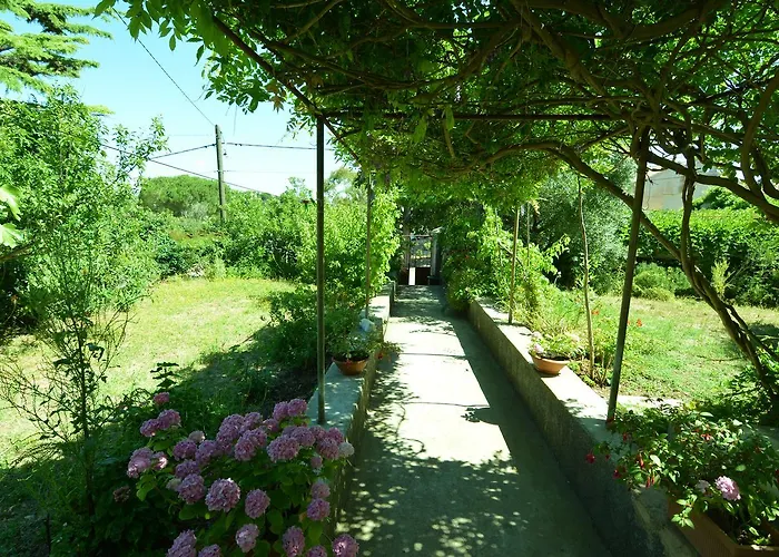 Renata Apartment