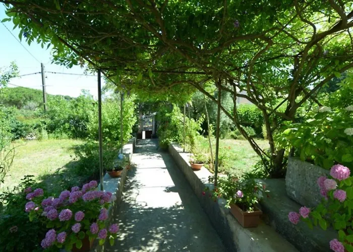 Renata Apartment
